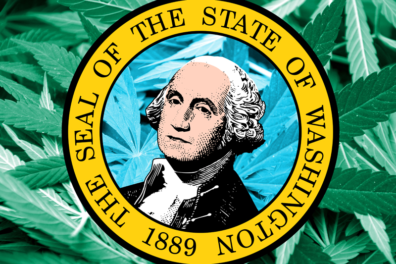 washington i502 cannabis law 2014