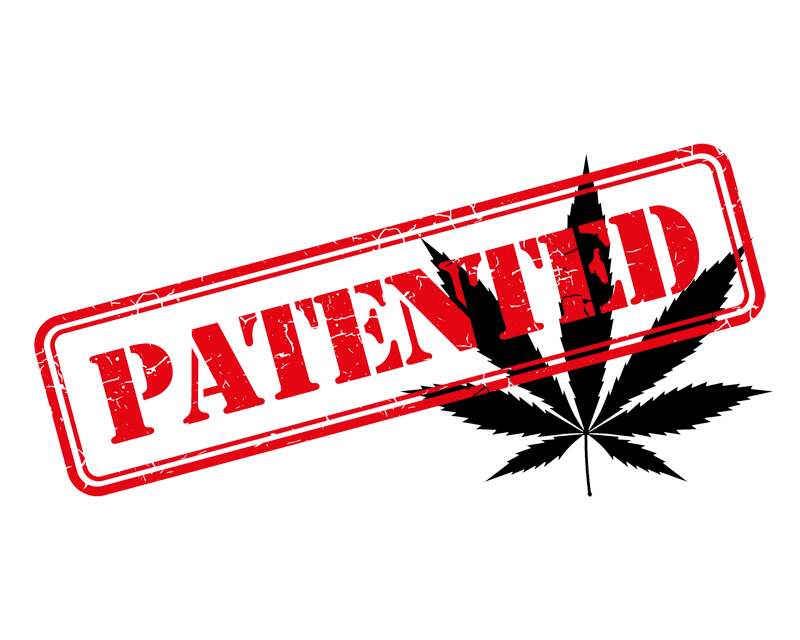 united states marijuana patent
